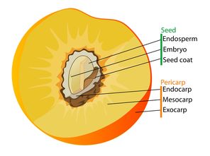 华体会手机网站-英超球队赛季中体能负荷与技术表现的关联分析,英超体能测试