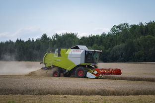 华体会登录-田径跨项目交流营探索协同训练新方式，田径跨栏的动作讲解